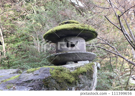 京都西部山口大神宮的靜謐景色 111399656