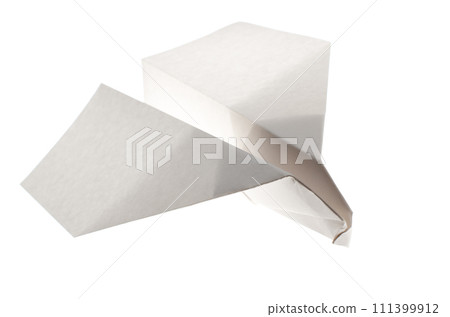 Paper airplane 111399912