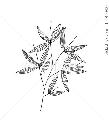 Bamboo leaves branch simple linear style vector outline illustration, traditional japanese plant, oriental decorative ornament for design, greeting card, template, banner, zen concept Bamboo leaves branch simple linear style vector outline illustration, traditional japanese plant, oriental decorative ornament for design, greeting card, template, banner, zen concept 111400425