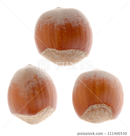 Hazelnuts 111400530