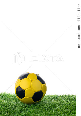 Soccer ball 111401182