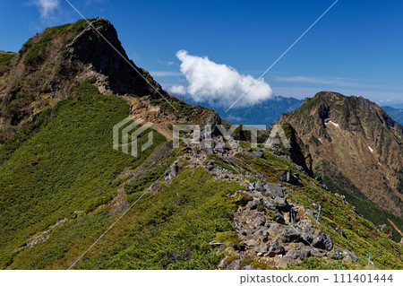 Yatsugatake mountain range, Yokodake main peak and Amidadake in summer 111401444