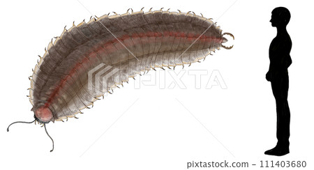 Arthropleura, the largest arthropod in history, the giant millipede Arthropleura, the largest arthropod in history, the giant millipede 111403680