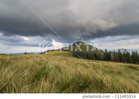 Panoramic summer view, green grassy valley on distant woody mountains background under cloudy sky. Panoramic summer view, green grassy valley on distant woody mountains background under cloudy sky. 111403814