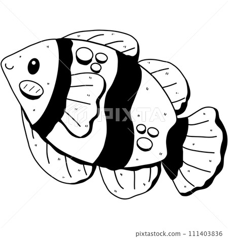 Hand drawn doodle fish. black line fishes in doodle ink style 111403836