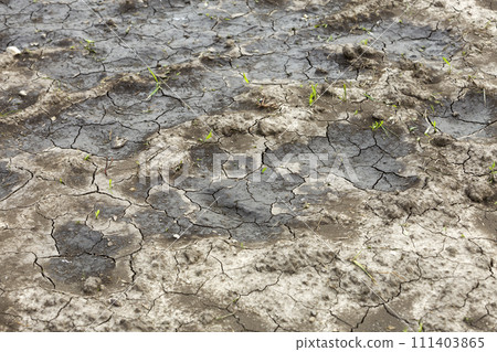 Cracked dry dirt flat surface, abstract texture, copy space background, retro pattern. Cracked dry dirt flat surface, abstract texture, copy space background, retro pattern. 111403865