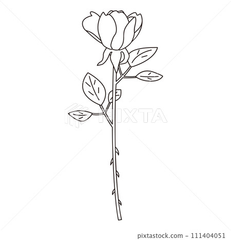 Line drawing illustration of a single rose, vector 111404051