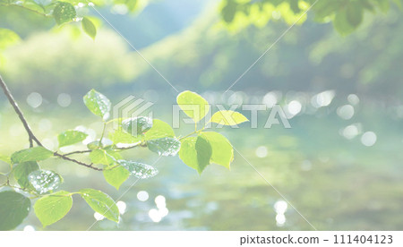 Fresh greenery and fresh greenery reflected on the water surface 111404123