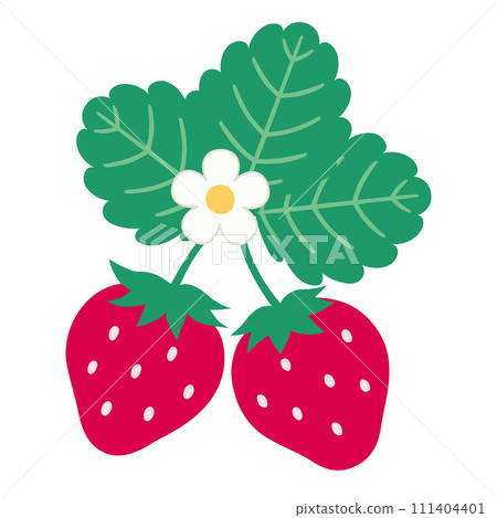 可愛的草莓插圖。水果,食物,水果 可愛的草莓插圖。水果,食物,水果 111404401