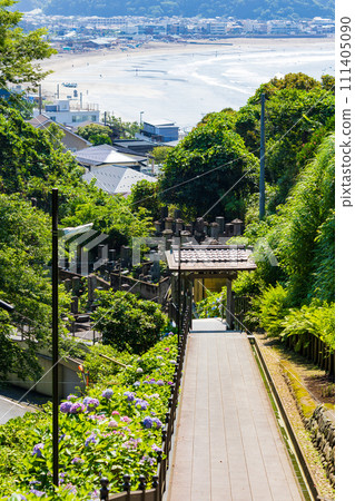 Early summer in the ancient capital of Kamakura: Jojuin Temple and Yuigahama Beach where hydrangea blooms Early summer in the ancient capital of Kamakura: Jojuin Temple and Yuigahama Beach where hydrangea blooms 111405090
