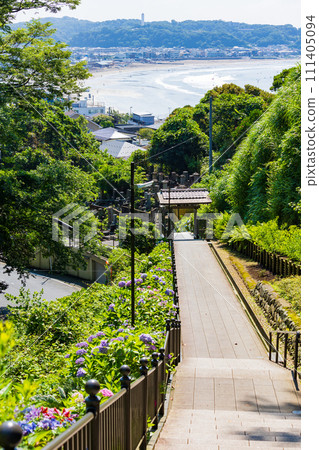 Early summer in the ancient capital of Kamakura: Jojuin Temple and Yuigahama Beach where hydrangea blooms Early summer in the ancient capital of Kamakura: Jojuin Temple and Yuigahama Beach where hydrangea blooms 111405094