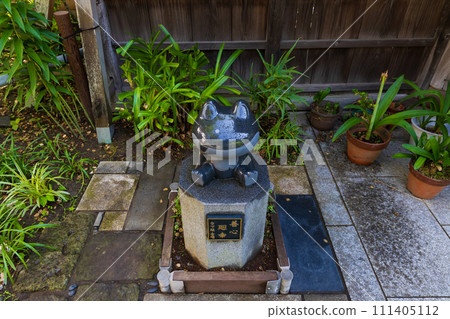 初夏的古都鎌倉，成壽院，樹葉變幻 111405112