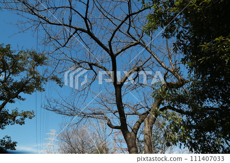 走在小區 走在小區 111407033