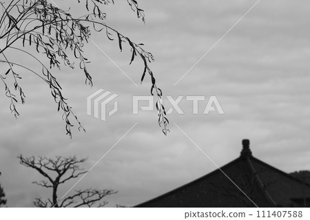 屋頂和樹枝垂下的景觀 111407588