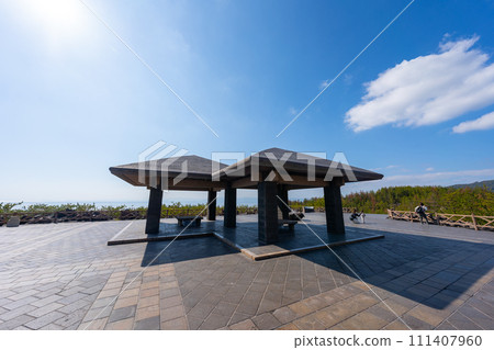 Scenery of Kagoshima Sakurajima Arimura Lava Observatory 111407960
