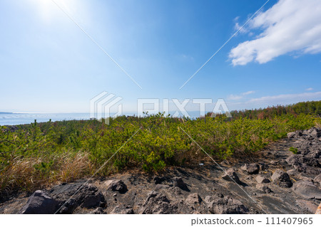 Scenery of Kagoshima Sakurajima Arimura Lava Observatory 111407965