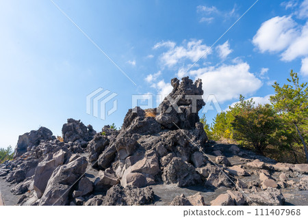 Scenery of Kagoshima Sakurajima Arimura Lava Observatory 111407968