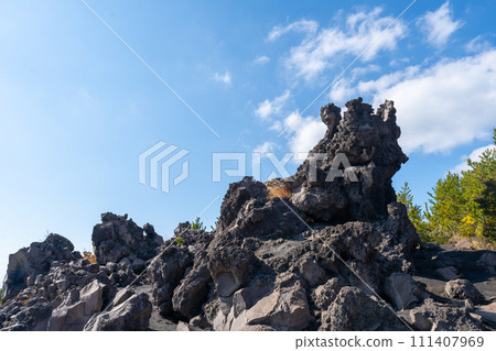 Scenery of Kagoshima Sakurajima Arimura Lava Observatory 111407969