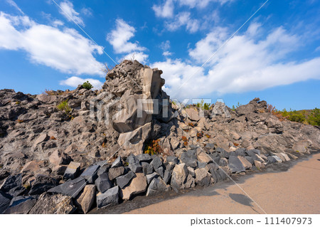 Scenery of Kagoshima Sakurajima Arimura Lava Observatory Scenery of Kagoshima Sakurajima Arimura Lava Observatory 111407973