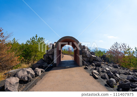 鹿兒島櫻島有村熔岩展望台風景 111407975