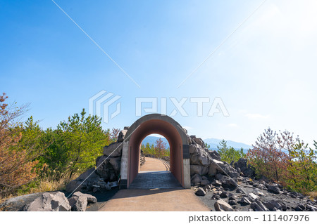 鹿兒島櫻島有村熔岩展望台風景 111407976