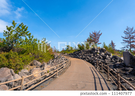 鹿兒島櫻島有村熔岩展望台風景 111407977