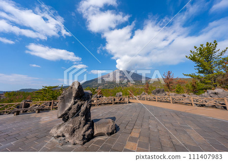 Scenery of Kagoshima Sakurajima Arimura Lava Observatory 111407983