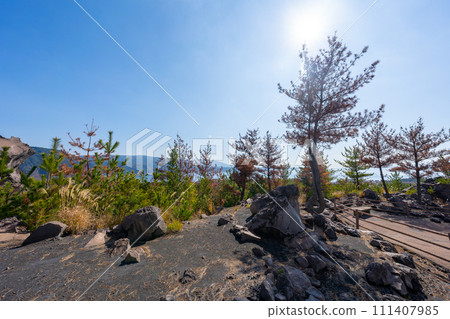 Scenery of Kagoshima Sakurajima Arimura Lava Observatory 111407985