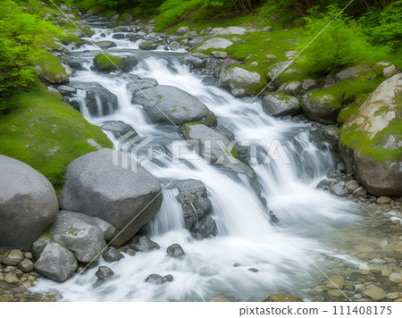water stream in forest 111408175