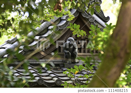 赤山Zenin Tesuisha神猴 赤山Zenin Tesuisha神猴 111408215