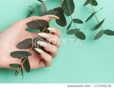 Female hands with manicure and a branch of eucalyptus 111408226