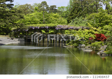 京都Sendong宮南池塘Yatsuhashi和紫藤 111408437