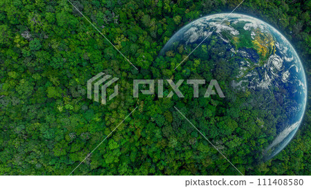 Aerial top view of green forest tree and global globe, Tropical rain forest tree ecosystem and healthy environment, Texture and background of green tree forest, Global warming save earth. Aerial top view of green forest tree and global globe, Tropical rain forest tree ecosystem and healthy environment, Texture and background of green tree forest, Global warming save earth. 111408580