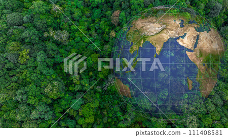 Aerial top view of green forest tree and global globe, Tropical rain forest tree ecosystem and healthy environment, Texture and background of green tree forest, Global warming save earth. Aerial top view of green forest tree and global globe, Tropical rain forest tree ecosystem and healthy environment, Texture and background of green tree forest, Global warming save earth. 111408581