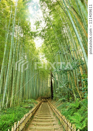 千葉縣佐倉，鮮綠的日和通坡 111409611