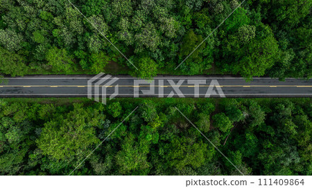 Aerial top view of green forest tree and global globe, Tropical rain forest tree ecosystem and healthy environment, Texture and background of green tree forest, Global warming save earth. 111409864