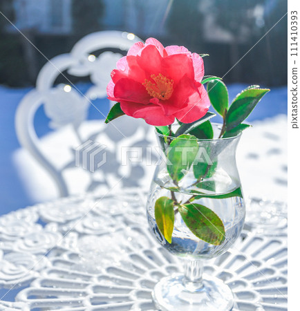 雪園和山茶花 雪園和山茶花 111410393