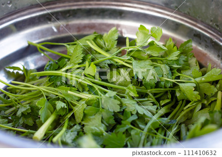 Green parsley leaves in a plate closeup 111410632