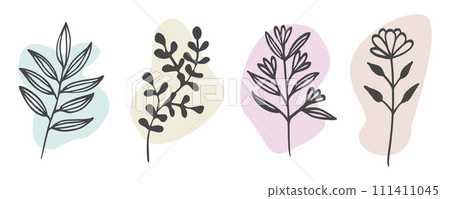 Botanical wall art Vector Set. Foliage and Flower Line art drawing with abstract shape. Plant Art design Collection for Print, Cover, Wallpaper, Minimal and natural Wall art. Vector Flat illustration. 111411045