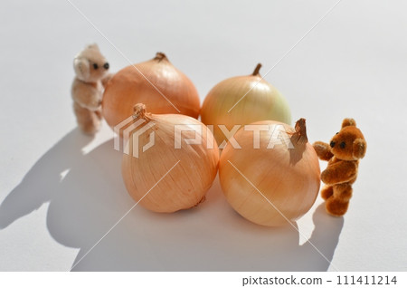 Pecoros and a small teddy bear 111411214