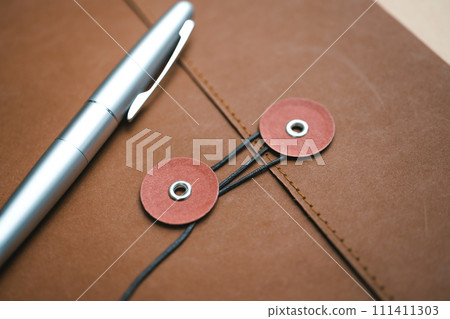 Document case 111411303