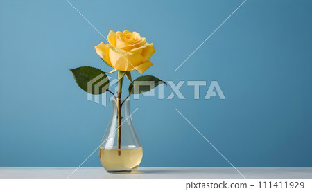 Yellow rose in a glass vase on a blue background with copy space. Generative AI 111411929