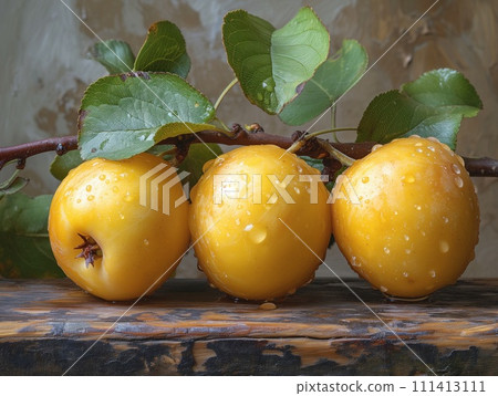 wet yellow apples closeup 111413111