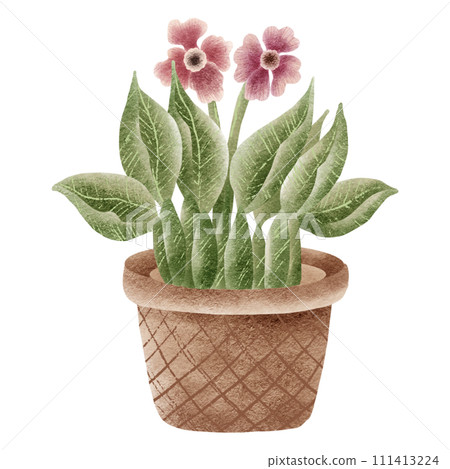 hand painted watercolor flower pot 111413224