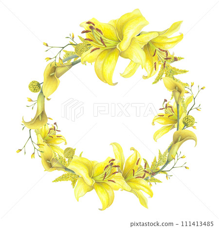 Lilies Yellow flower, calla lilies, craspedia, Solidago Frame wreath isolated on white background. Watercolor hand drawn botanic illustration. Art design wedding invitation, greeting card, decoration. 111413485