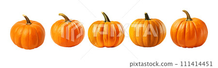 Pumpkin vector set isolated on white background - Stock Illustration ...