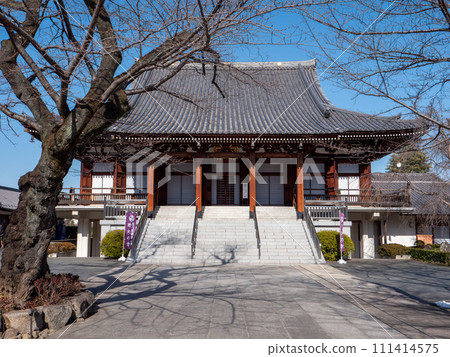 Blue skies in winter and the main hall of Dentsuin, Bunkyo-ku, Tokyo 111414575