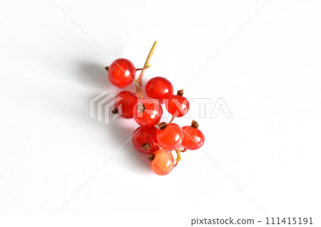 Branch with red currant berries on white. Branch with red currant berries on white. 111415191