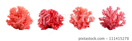 Red coral vector set isolated on white background 111415278