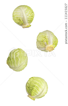 Cabbage isolated on white background. Organic, fresh vegetables Cabbage isolated on white background. Organic, fresh vegetables 111415827